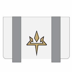Team Aether