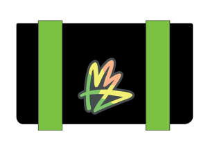Team MZ